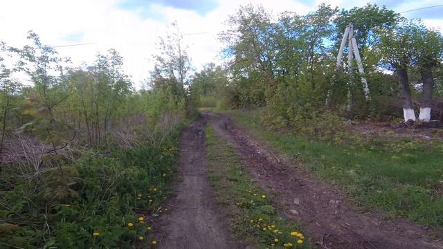 Моя прогулка с котом. Хочу такой же дом. Ах, как поют птицы смотреть онлайн