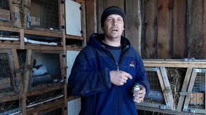 У кроликов никогда не будет глистов!!!