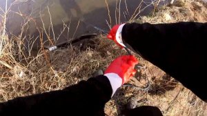 Находки на новый Поисковый магнит 600 кг!