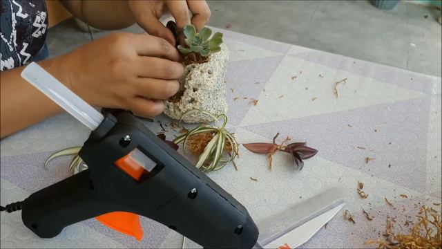 ROCK PLANTER WITH ECHEVERIA смотреть онлайн