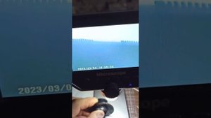 Не выбрасывай неисправный датчик угла поворота BMW E53, E39, E46, лучше отдай его мне?