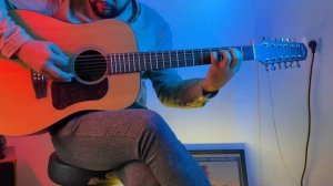 12-струнная акустическая гитара Welden D552