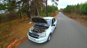 ТАКСИСТ ИСПУГАЛСЯ И ОТКАЗАЛСЯ ОТ ЗАКАЗА. СТАТУС ЖИРНОЙ РЫБЫ