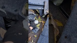 Бесплатно запчасти Чери Амулет