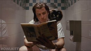 Pulp Fiction with a Cat