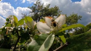 богатое ущелье Крым часть 1