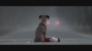 Подарок