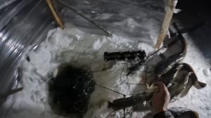 Проверка перемета в новом домике, почти с комфортом