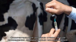 Лептоспироз КРС