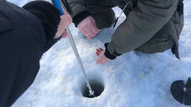 22.02.2018 Савельево Ольгово продолжение вечерего выхода смотреть онлайн