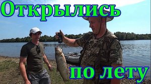 Жерех, щука, окунь. Открываем летний сезон.