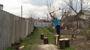 Как правильно колоть дрова - колка пней любой сложности