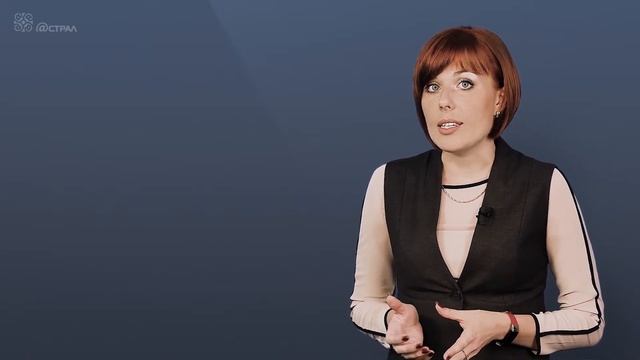 Что такое протокол разногласий