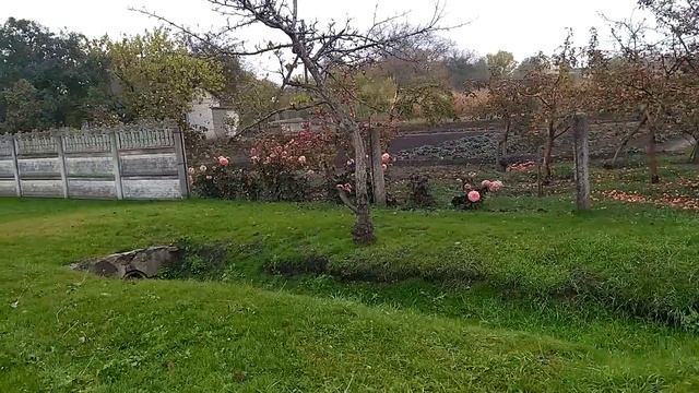 С пользой прогулялись по селу смотреть онлайн