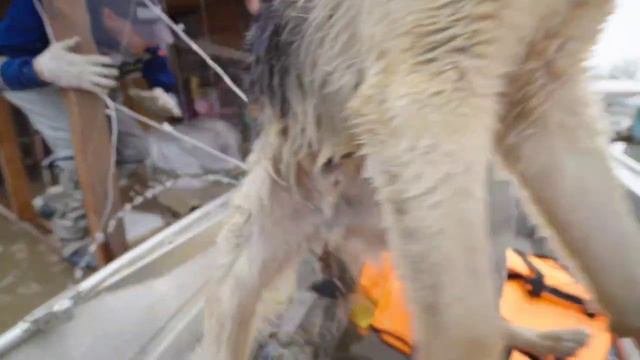 Сегодня проверяли затопленные районы Оренбурга