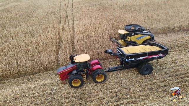 CORN HARVEST 2020 near Bradford Illinois
