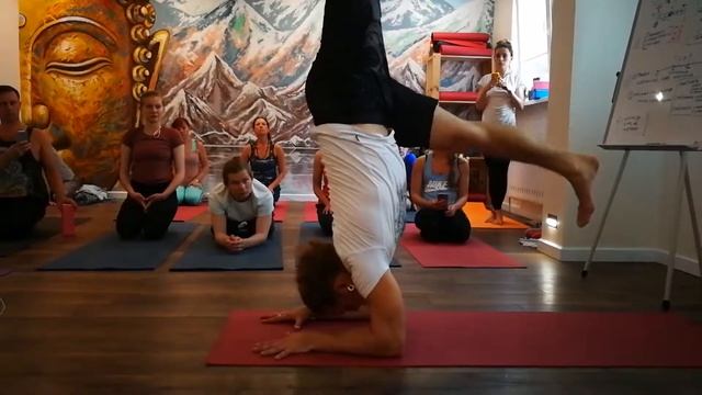 Подводящие упражнения к Пинча майюрасана