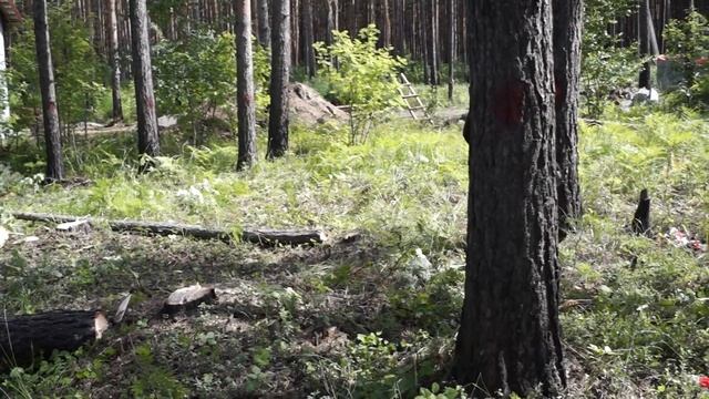 Валка леса на дачном участке смотреть онлайн