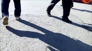 Птичий рынок барахолка Волгоград октябрь 2022 ч. 4 Bird market flea market Volgograd October 2022