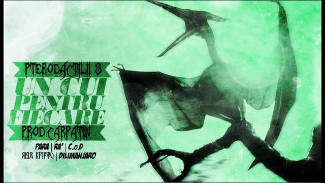 Pterodactilii S. - Un cui pentru fiecare | Prod. Carpatin смотреть онлайн