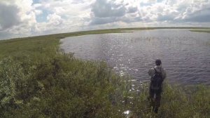 Щука на спиннинг  Новый Уренгой