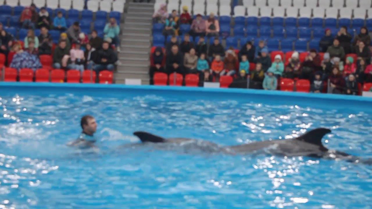 Сочи март 2018г Сочи Парк Отель 3*