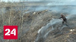 МЧС: в Забайкалье зафиксирован лесной пожар на площади 21 га - Россия 24
