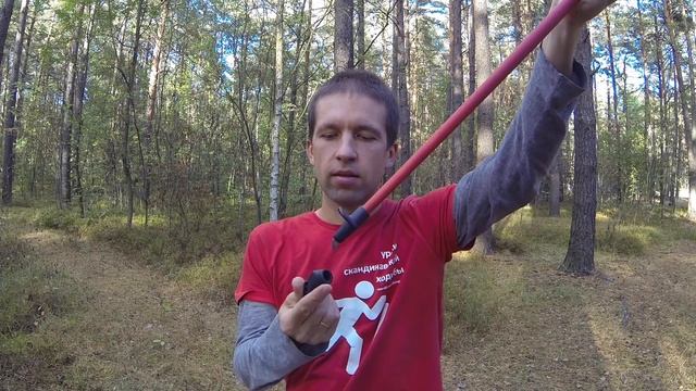 Палки для скандинавской ходьбы – Poletaeva