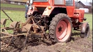 Культивация на тракторе Т-25, пробуем культиватор- окучник. Cultivation on the tractor T-25