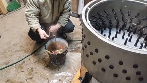 Убой и ощип 2х годовалой несушки.