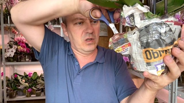 орхидея с Авито РЕДКАЯ НОВИНКА распаковка посылки и обзор орхидеи я в ШОКЕ