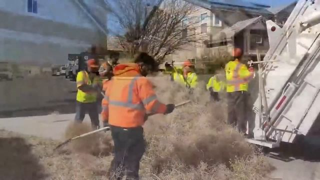 Невероятно огромная стая собак | Классные интересные видео #1 смотреть онлайн