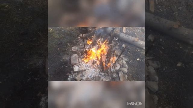 Ламповый день в лесу|костер суп и отдыыых? смотреть онлайн