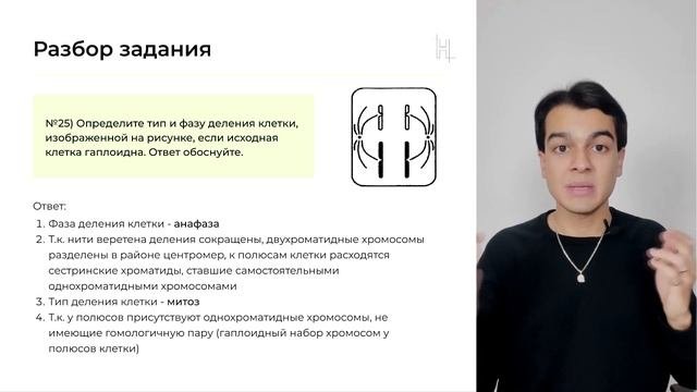 РАЗБОР ЗАДАНИЯ ЕГЭ ПРОШЛЫХ ЛЕТ | Деление клетки