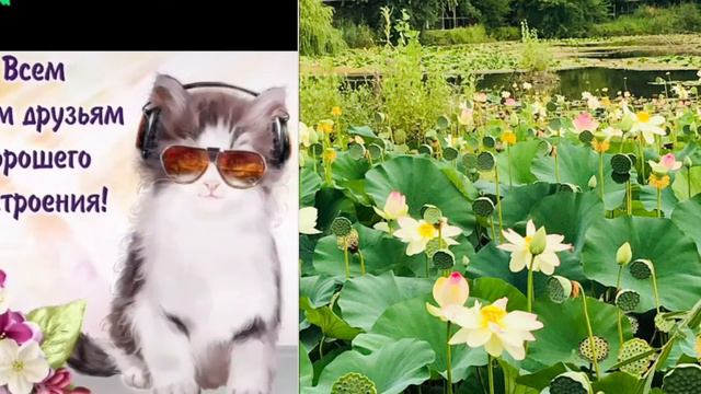 ○☆○ДОБРОГО ДЕНЕЧКА!!! смотреть онлайн