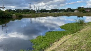 ? Алла Тони ? собираются в ПОЛЁТ ОТДЫХ во Флориде ЧТО ПОСЕТИТЬ Zip Line Tampa Florida USA 22.11.202