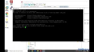 Установка образов Cisco vIOS на EVE-NG [Развертывание EVE-NG]