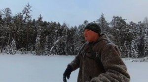 Камусные лыжи для охоты. Как подобрать охотничьи лыжи по размеру.