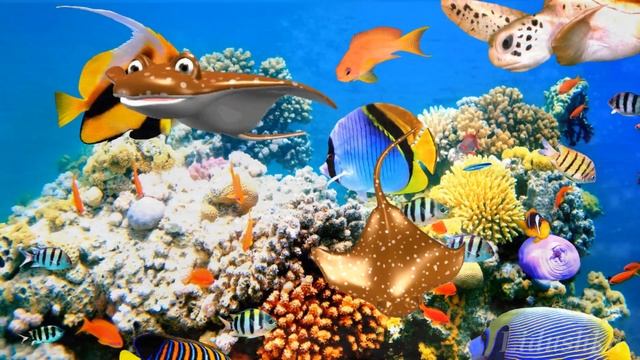 Коралловые рифы. Самые красивые кораллы
