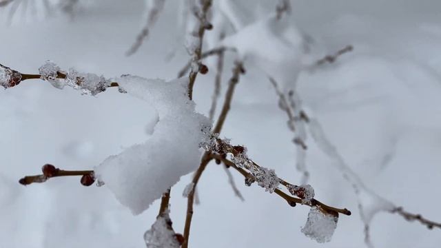 5 февраля День Счастья, зажгите в доме свечу. Лунный день сегодня. Эзотерика для тебя