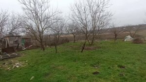 Дом ст. Юго-Северная Тихорецкий р-он. 46 кв.м.,27 соток. Цена: 900.000. тел: 8-909-454-85-00