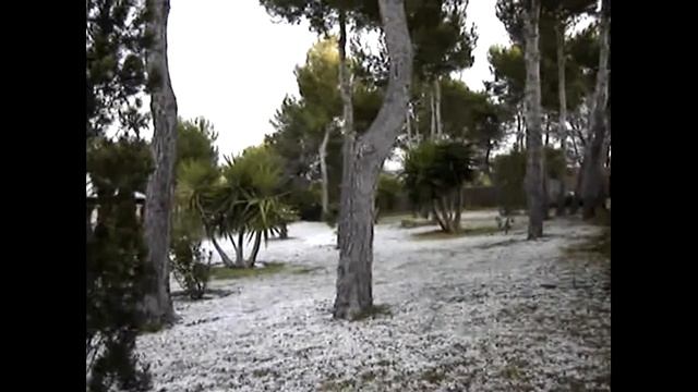 Roses & Lions ® - Consultancy and Garden Maintenance смотреть онлайн