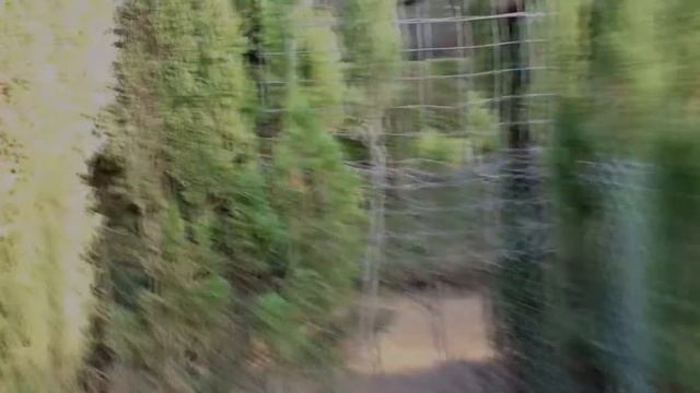 Парк лабиринт Здесь снимали фрагменты фильма "Парфюмер" смотреть онлайн