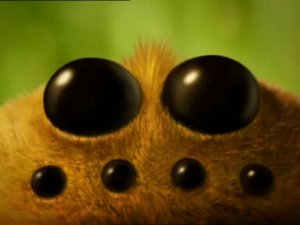 Мелюзга .36. Pique nique. Паук пытается поймать муху, которая...