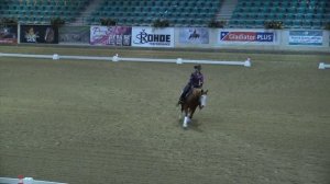 Isabelle Gessinger | Jungpferde Reining 5 jährig | EWU German Open 2017