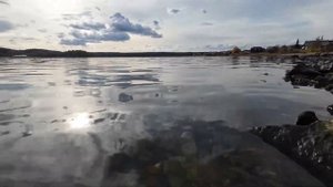 Сысерть-всем смотреть! Прогулка по Сысерти 2023