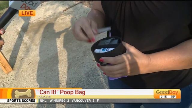 Can It! Dog Waste Disposal System смотреть онлайн