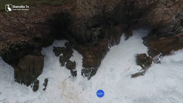 Al abrigo de los puertos смотреть онлайн