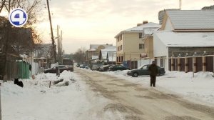 Свора бездомных собак держат в страхе целый квартал в Верх-Исетском районе Екатеринбурга