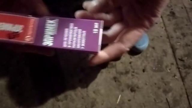 Бельмо на глазе у ягненка//Лечим народными средствами смотреть онлайн